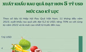 11 tháng, xuất khẩu rau quả cao kỷ lục hơn 5 tỷ USD