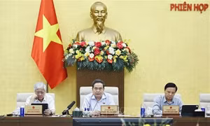 Đổi mới tư duy quản lý, hướng tới hải quan số