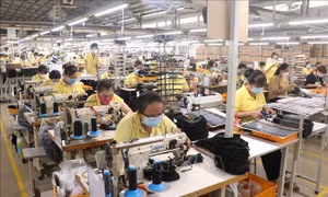 Gần 7,5 triệu lượt người lao động có hoàn cảnh khó khăn được hỗ trợ tiền Tết