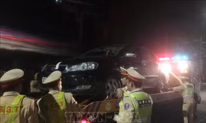 40 trường hợp vi phạm quy định về nồng độ cồn khi tham gia giao thông ở Nghệ An