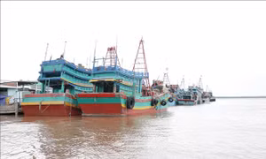 Khắc khục 'thẻ vàng' IUU: Đối chiếu dữ liệu giám sát phát hiện hành vi khai thác IUU