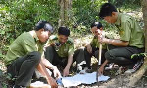 Đắk Lắk: Ngăn chặn tình trạng phá rừng, lấn chiếm đất lâm nghiệp