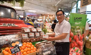 Vải tươi Việt Nam hiện diện tại hệ thống trung tâm thương mại lớn nhất Thái Lan
