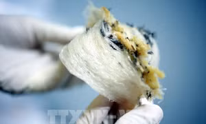 Doanh nghiệp xuất khẩu thực phẩm cần lưu ý quy định đăng ký mới của Trung Quốc