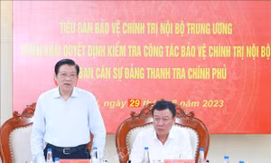 Kiểm tra công tác bảo vệ chính trị nội bộ tại Ban cán sự đảng Thanh tra Chính phủ