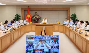 Tạo điều kiện thuận lợi để người có đất thu hồi được hỗ trợ việc làm và đào tạo nghề