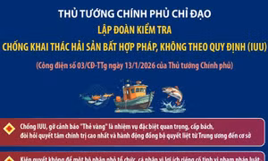 Thủ tướng Chính phủ chỉ đạo lập đoàn kiểm tra chống khai thác IUU