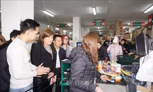 Phó Thủ tướng Séc đánh giá cao ý thức chấp hành luật pháp của doanh nghiệp Việt Nam
