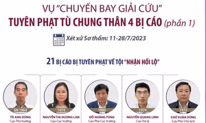 Vụ 'Chuyến bay giải cứu': Tuyên phạt tù chung thân 4 bị cáo (phần 1)