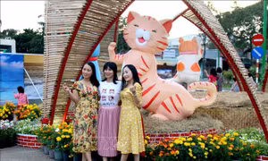 Bình Thuận mở cửa đường hoa Xuân Quý Mão 2023