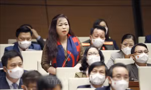 Đề xuất kiên trì chính sách khoan sức dân, nuôi dưỡng nguồn thu