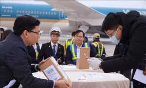 Bảo hộ công dân ở nước ngoài: Thực thi pháp luật trên cơ sở đạo lý