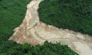 Vụ Rào Trăng 3: Chuyển sang tìm kiếm giai đoạn 7