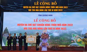 Huyện miền núi Ba Chẽ (Quảng Ninh) đạt chuẩn nông thôn mới​
