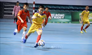 19 đội bóng khu vực phía Bắc tranh tài tại Giải bóng đá Nhi đồng (U11) toàn quốc