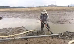 Bình Thuận: Nhiều giải pháp đảm bảo đủ nước sinh hoạt, sản xuất 