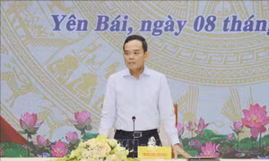 Đoàn công tác của Bộ Chính trị làm việc với Ban Thường vụ Tỉnh ủy Yên Bái, Lào Cai