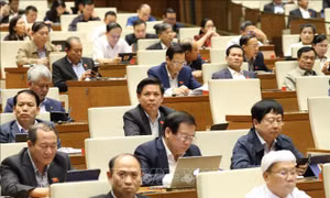 Cử tri Ninh Thuận, Bình Dương đánh giá cao kết quả phát triển kinh tế - xã hội