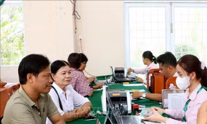 Tín dụng chính sách tiếp sức tạo việc làm ở Vĩnh Long
