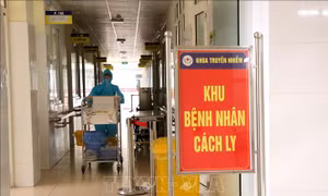 Hội chẩn trực tuyến hỗ trợ điều trị các bệnh nhân COVID-19 tiến triển xấu