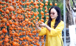 Khai mạc Chương trình Hoa mai anh đào chắp cánh thương hiệu Đà Lạt