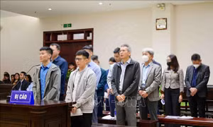 Xét xử phúc thẩm vụ Tập đoàn Thuận An