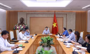 Phát triển công viên, cây xanh, mặt nước theo hướng bền vững