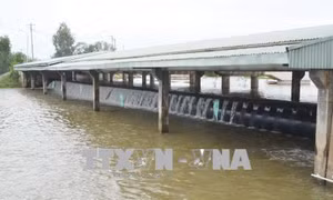 Xả lũ đầu nguồn tại hai đập tràn kiểm soát lũ 