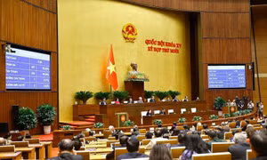 Dấu ấn Kỳ họp thứ 10, Quốc hội khóa XV - Bài 1: Kiến tạo phát triển, pháp luật đi trước một bước
