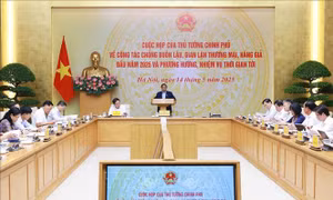 Thủ tướng Chính phủ chỉ thị tăng cường công tác chống buôn lậu, gian lận thương mại và hàng giả