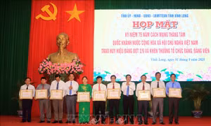 Trao huy hiệu Đảng và khen thưởng tổ chức đảng, đảng viên tiêu biểu