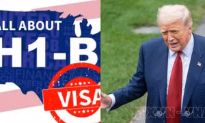 Chính sách thị thực H-1B của Tổng thống Trump lại bị kiện