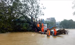 Thừa Thiên - Huế: 6 người thiệt mạng, 3 người mất tích do mưa lũ