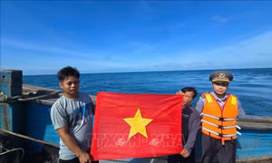 Chi đội Kiểm ngư số 3 (Đà Nẵng) xung kích trên mọi ngư trường