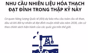 IEA: Nhu cầu nhiên liệu hóa thạch đạt đỉnh trong thập kỷ này
