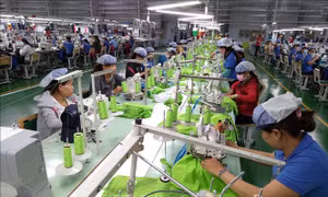 FTAP - giúp doanh nghiệp tiếp cận thị trường hiệu quả nhất