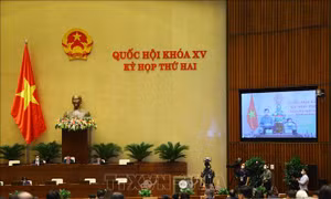 Quốc hội thảo luận về sửa đổi, bổ sung một số điều của Bộ luật Tố tụng hình sự