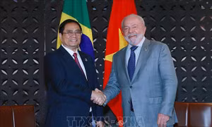 Triển vọng hợp tác trên nhiều lĩnh vực trong quan hệ giữa Việt Nam và Brazil