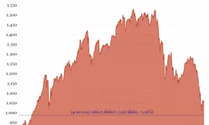 Phiên 24/10/2022: VN-Index chính thức thủng mốc 1.000 điểm