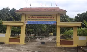 Phát triển không gian xanh, thân thiện tại các cơ sở trợ giúp xã hội, cai nghiện ma túy