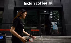 Cú ngã của 'kỳ lân' Luckin Coffee