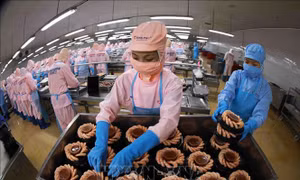 Tận dụng lợi thế để xuất khẩu tôm đạt mục tiêu năm 2023