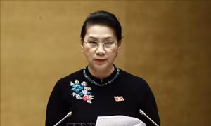 Phấn đấu hoàn thành thắng lợi mục tiêu phát triển kinh tế - xã hội cả nhiệm kỳ
