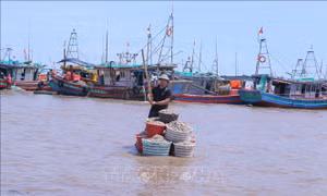 Khắc phục 'thẻ vàng' IUU: Xử lý vi phạm về thiết bị giám sát hành trình tàu cá