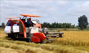 Long An được chuyển mục đích sử dụng 65 ha đất