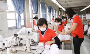 Kết quả kinh doanh quý II: Những điểm sáng trong đại dịch COVID-19