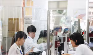 TP Hồ Chí Minh: Đảm bảo công tác vận hành chính quyền phường, xã mới từ ngày 1/7