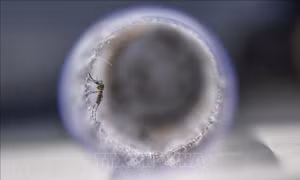 ​Biến đổi khí hậu có thể khiến các virus 'ngủ' lâu ngày bỗng nhiên hồi tỉnh