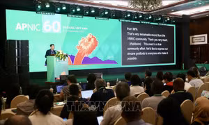 500 chuyên gia quốc tế chia sẻ kinh nghiệm về internet thế hệ mới tại Đà Nẵng