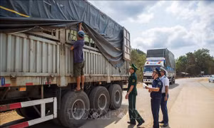 Xử lý nghiêm các vi phạm về nông lâm thủy sản và vật tư nông nghiệp